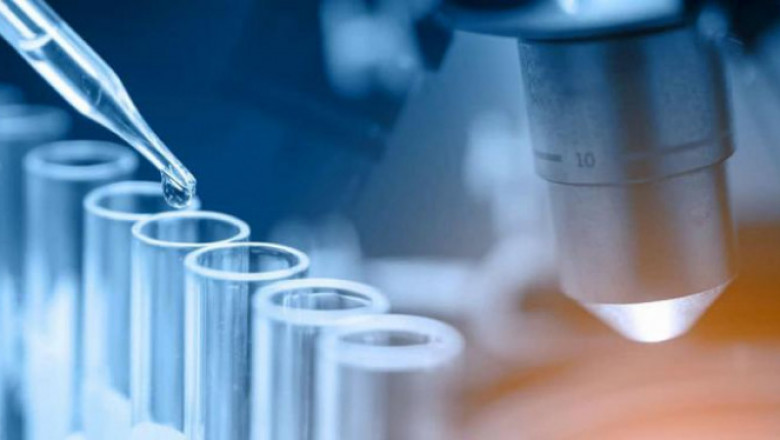 Endocrine Testing Market to Witness Increasing Revenue Growth During the Forecast Period 2020–2027