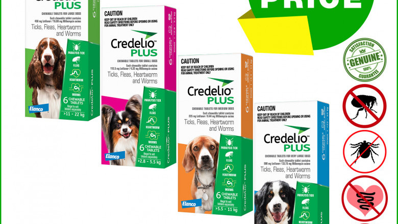 Credelio Plus Flea Tick Worm Protection 6 Chews for Dogs