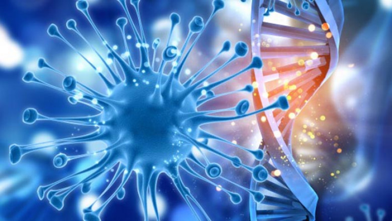 Cancer Diagnostics Market Overview, Key Enhancement, with Status, Trends and Future Prospective to 2027 | Cancer Diagnostics, Inc. (the U.S.), Biotheranostics, Inc. (the U.S.), BioMark Diagnostics Inc. (Canada)