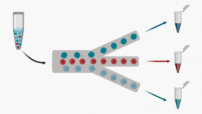 Global Cell Sorter Market Size Prognosticated to Observe a Living Growth by 2027 performed by a new report | Beckman Coulter, Bio-Rad Laboratories, Sony Biotechnology