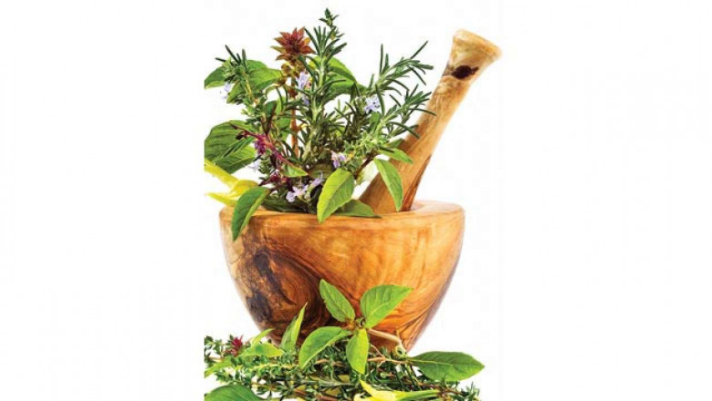 How Can Ayurveda Optimistically Change Your Life?