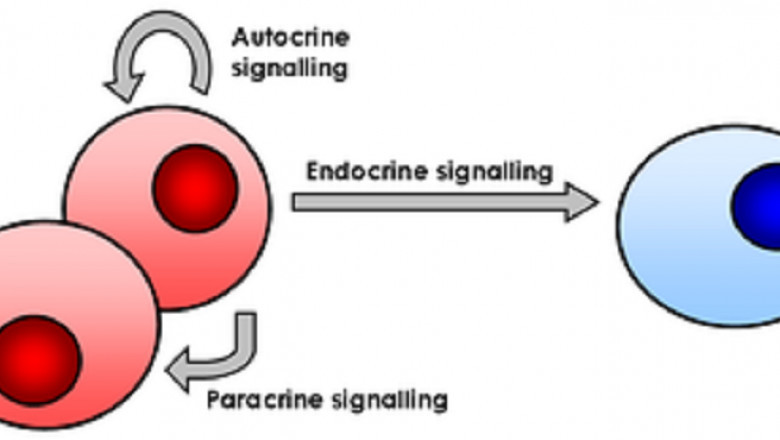 To provide an absolute background analysis of the Cell Signaling industry, this report includes an evaluation of the parental market