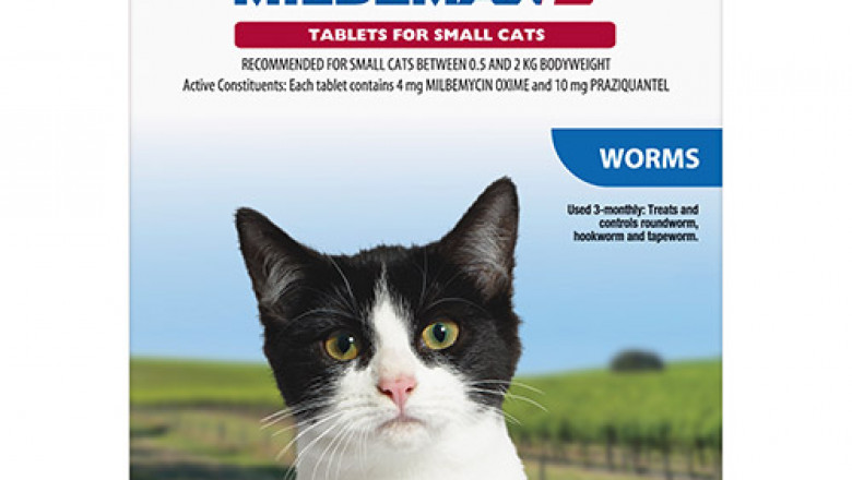 Milbemax All Wormer For Cats Online | DiscountPetCare