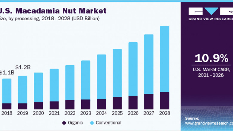 Macadamia Nut Market Size, Share, Trends and Forecast Report