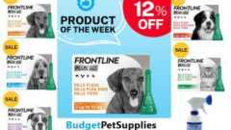 Shop Spot On Flea and Tick Treatment for Dogs | Frontline Plus