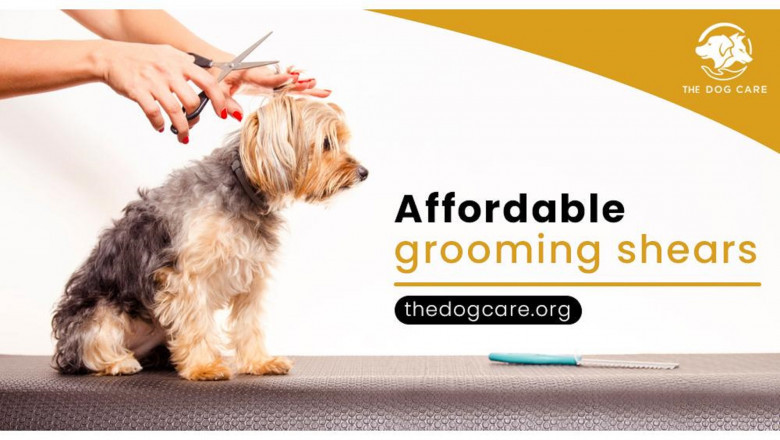 Affordable Grooming Shears