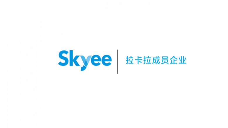 Skyee India: Receive Global Payments in India | https://in.skyee360.com/