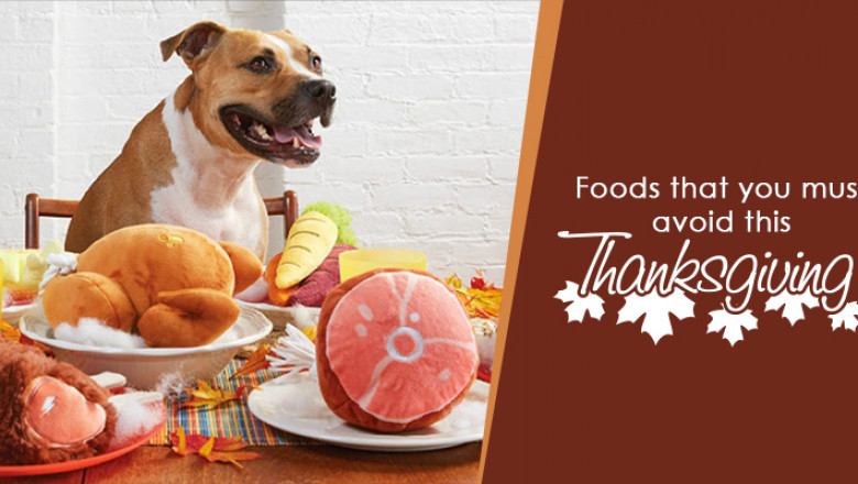 This Thanksgiving Pet Food That You Must Avoid