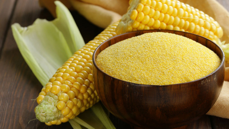 Corn Grits Exporters in Maharashtra