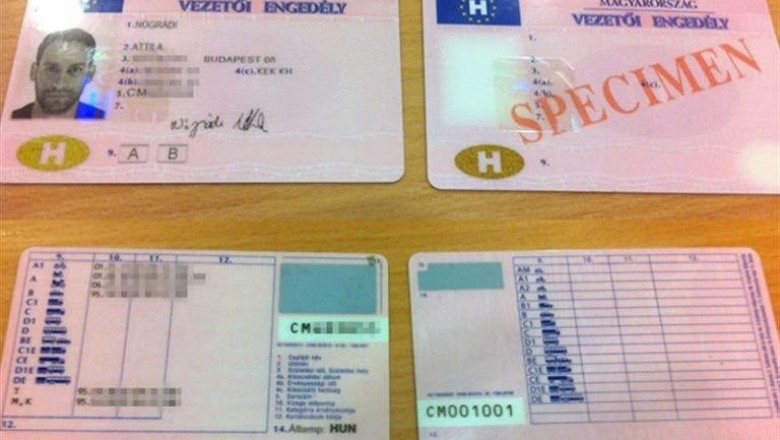 Professional driver license validity telegram contact @loyaltyworth