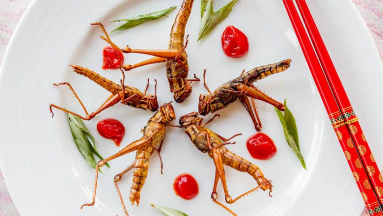 Comprehensive Study on Edible Insect Market 2021 with Top Leading Vendors like HaoCheng Mealworms, Agriprotien Technologies, Chapul,