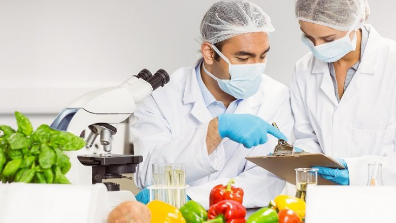 Global Food Safety Testing Market Emerging Trends, Future Growth, Solutions, Trending Innovation, New Technology, Business Strategies, Geographical Analysis 2027