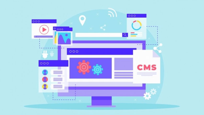 How Much Does It Really Cost To Build a WordPress Website