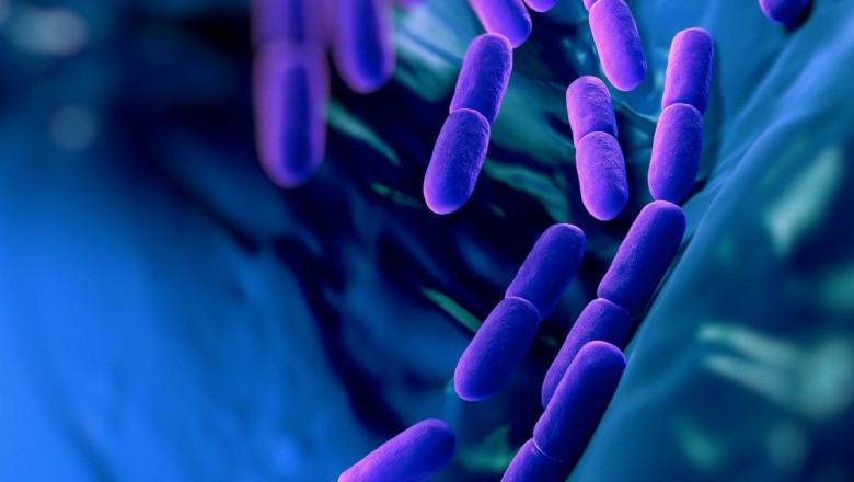 New Approach of Probiotics Market 2021: To Business Applications with Top Key Players like Aria Foods Inc., Lallemand Inc., Danone