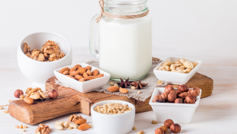 Dairy Alternatives Market Opportunities, Type, Product, Application & Characteristics
