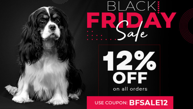 Hot Black Friday Deals at BPS - Buy Now While Stocks Last