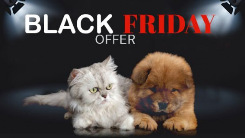 Black Friday Up To 80% OFF HURRY
