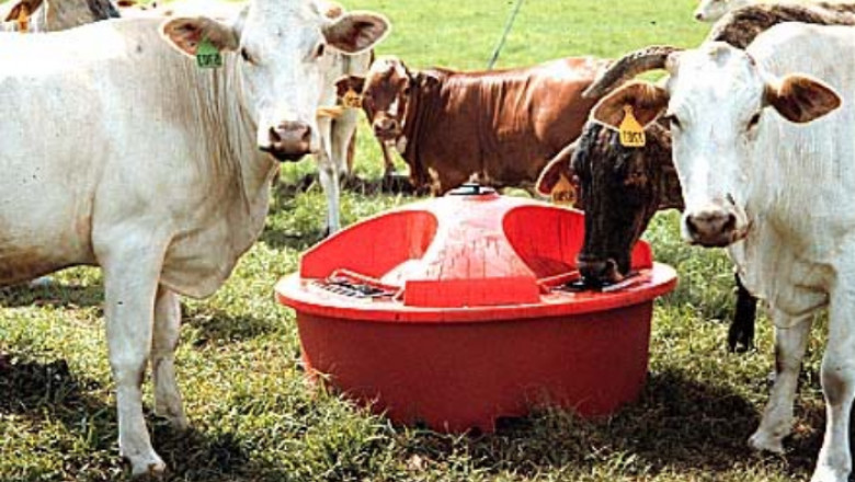 Massive Report on Liquid Feed Market 2021: Focusing on Top Leading Vendors like Archer Daniels Midland, Cargill, Dallas Keith