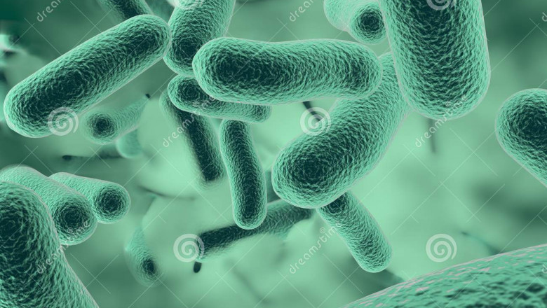 Advanced Bactericidal & Viricidal Coatings and Surfaces Market to See Strong Growth Momentum | AkzoNobel N.V,BASF SE,PPG Industries,Arch Lonza,DowDuPont,Microban