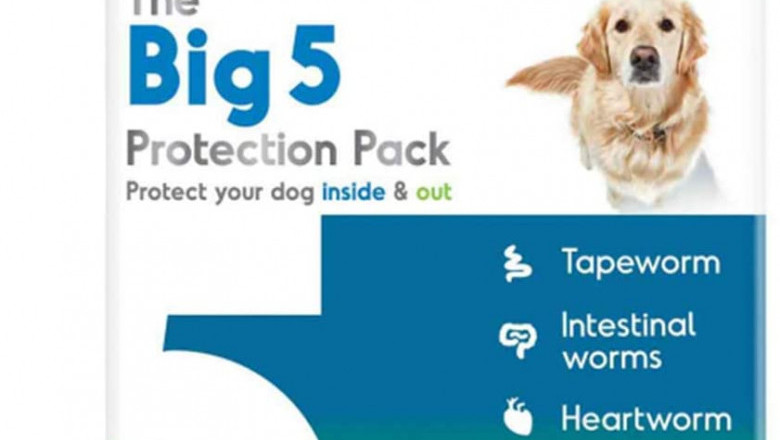BIG 5 Protection Pack for Extra Large Dogs 22Kg - 45Kg
