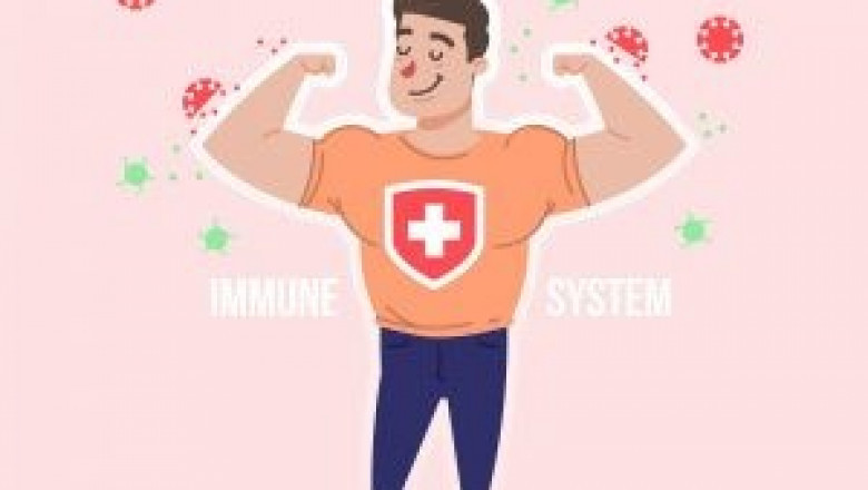 Immune System Rabbit Article