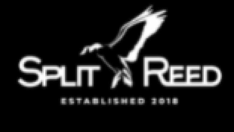 Plan Your Duck Hunt With Professionals