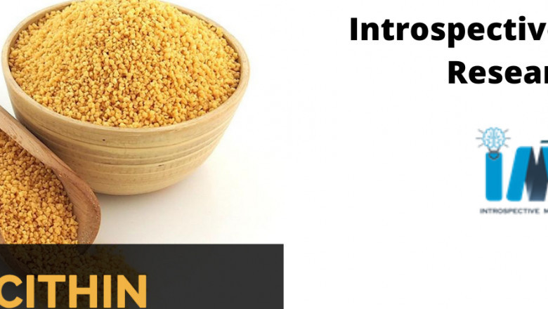Exhaustive Study on Lecithin Market 2021| Strategic Assessment by Top Players like ADM, Cargill, Parul Trading, Zhengzhou Natpt biological Technology