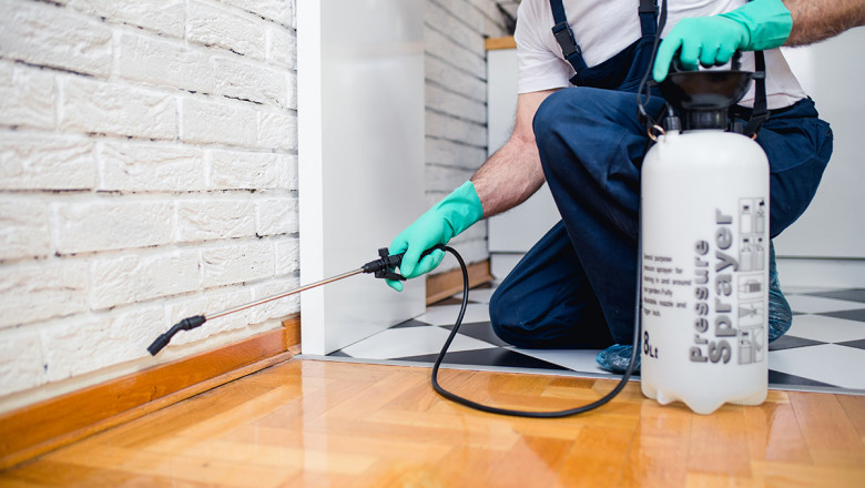 Why Pest Control Services Are a True Necessity ?2