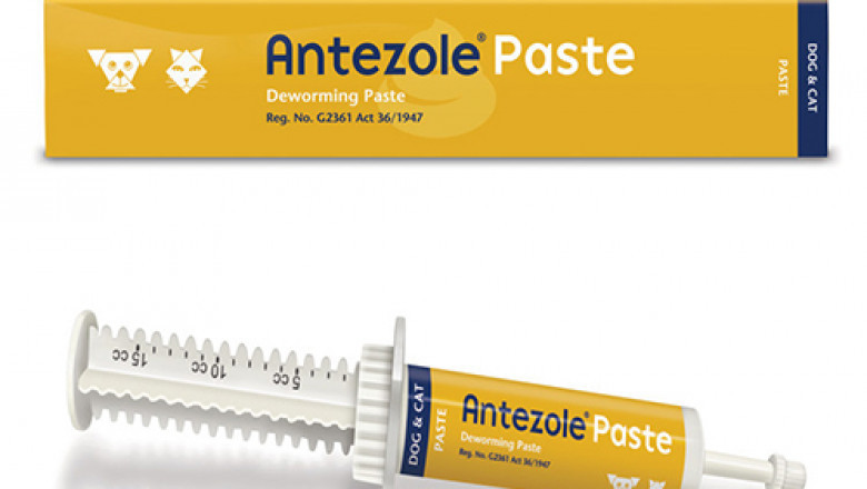 Antezole Dewormer Paste for Dogs & Cats in South Africa