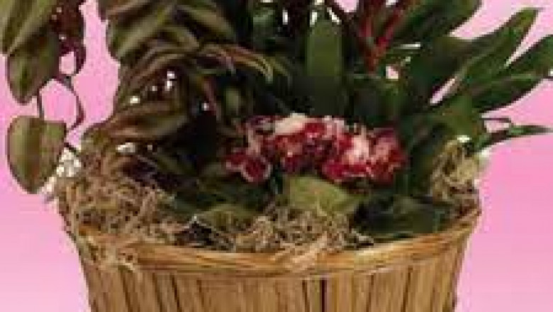 longaberger baskets