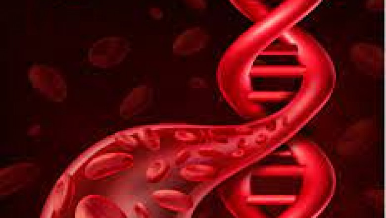 Beta-thalassemia (B-thal) Market Will Create Highest Returns by 2028 along with COVID-19 Analysis