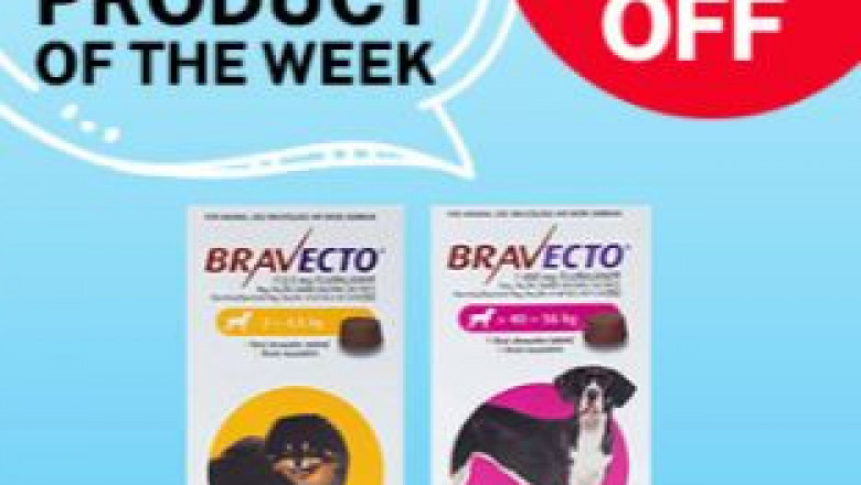 Weekly Pet's Deals | 12% for Bravecto Flea & Tick Treatment