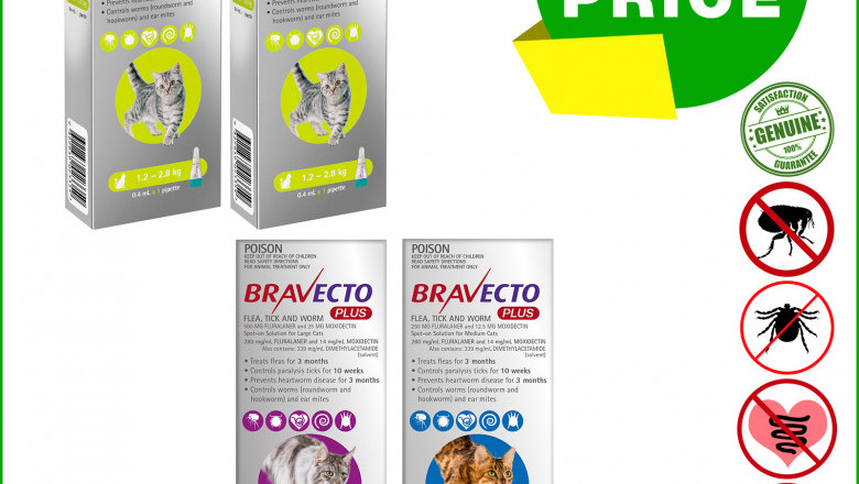 BRAVECTO PLUS 2 Pipettes for Cats Flea, Tick and Worm Prevention