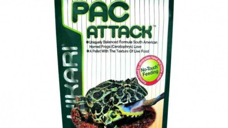 Why Choose the Best Pet Food Supply Store for Your Exotic Pet?