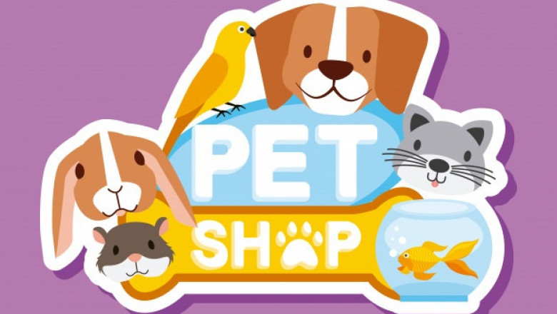 3 Common Misunderstandings People Have About an Online Pet Store