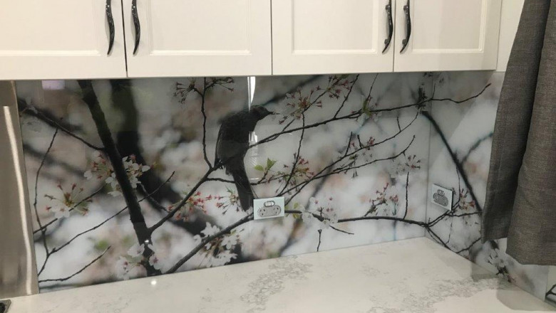 Glass Splashbacks are Best Splashbacks for Modern Homes