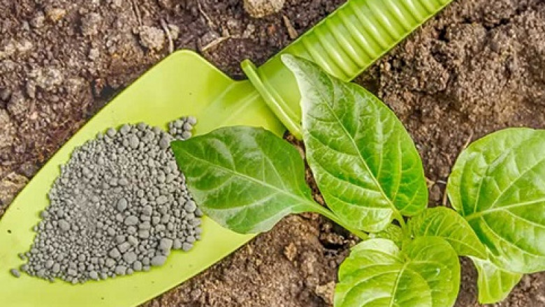 Global Bionematicides Market Size, Share, Trend, Growth & Forecast 2026