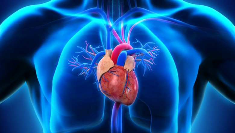 Pulmonary Arterial Hypertension : illness load and its effects on quality of life
