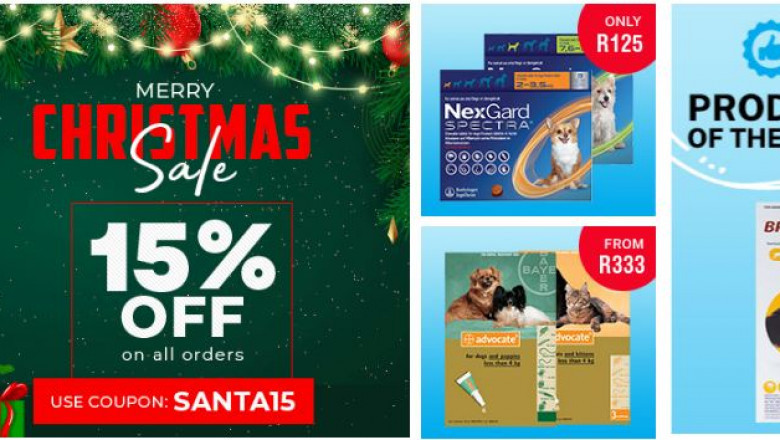The Best Christmas Gift for Your Pet