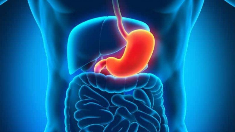 Is Gastritis Treatment Market Changing for the Better?