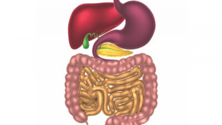 Gastroenterology