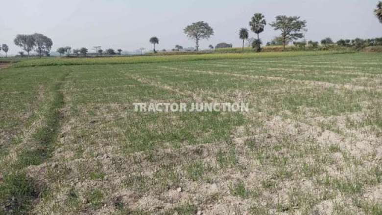 How Can I Get Agricultural Land for Sale? Complete Information