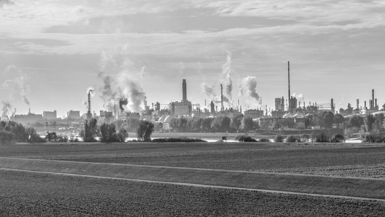 Fine Chemicals Market - Global Industry Analysis 2028