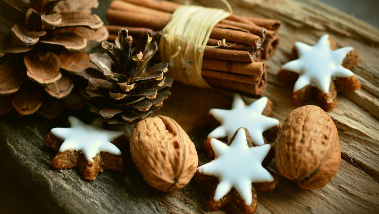 Cinnamon Extract Market - Global Industry Analysis 2026