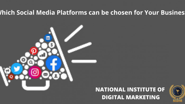 Which Social Media Platforms can be chosen for Your Business?