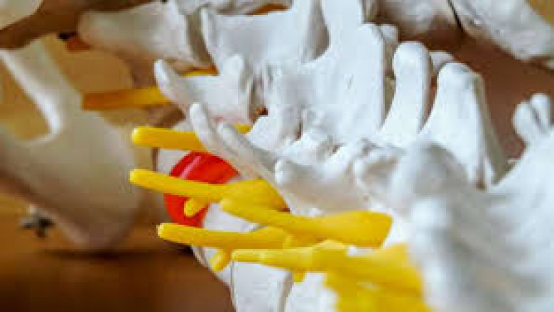 Spinal Devices Market Demand Analysis, Recent Developments, Driving Growth Status and Global Trends Forecast to 2026