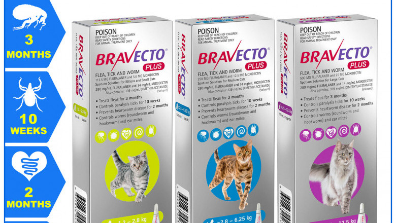 Bravecto Plus For Cats Flea Tick and Worm Treatment
