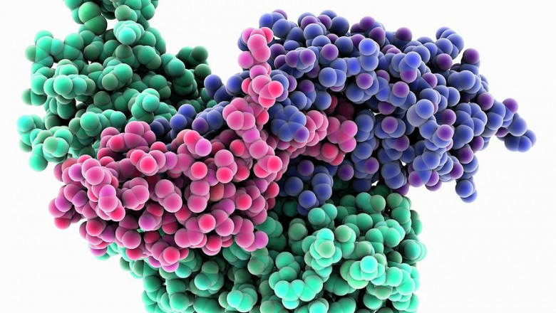 Follicle Stimulating Hormone Market Top Countries Data Analysis By Industry Trends, Share forecast to 2026