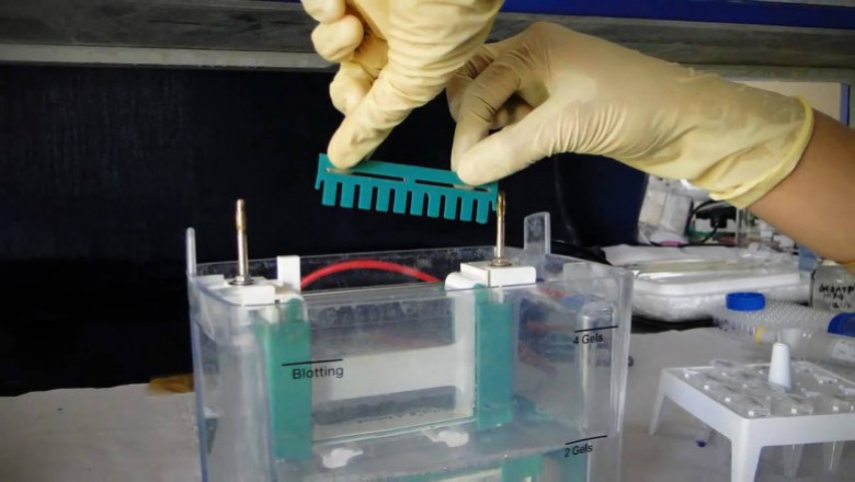 Polyacrylamide Market Global Industry Insights, Trends, Outlook, and Opportunity Analysis, 2018-2026
