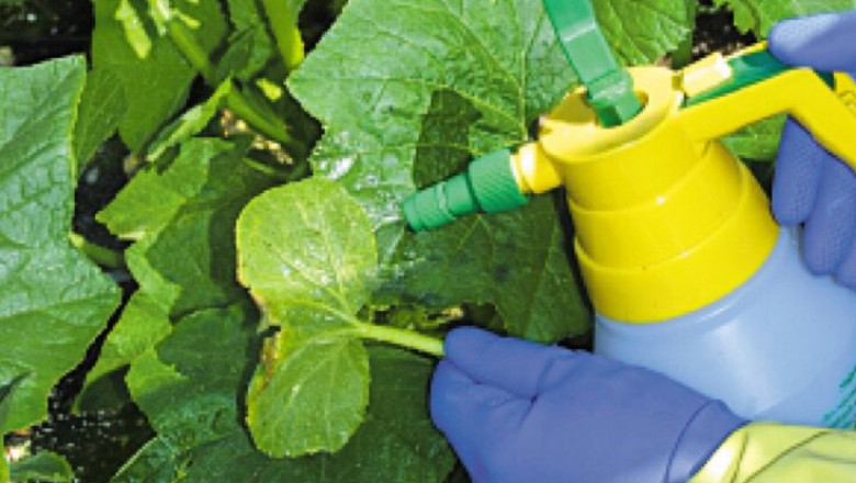 Vegetable Gardening Chemicals Market Size Forecast to Reach $25 Billion by 2025